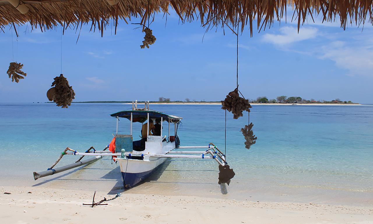 East Lombok Dive Hotel - 3 Private Rooms On The Beach With Seaview & Scuba Diving Center Labuhan Pandan Ngoại thất bức ảnh