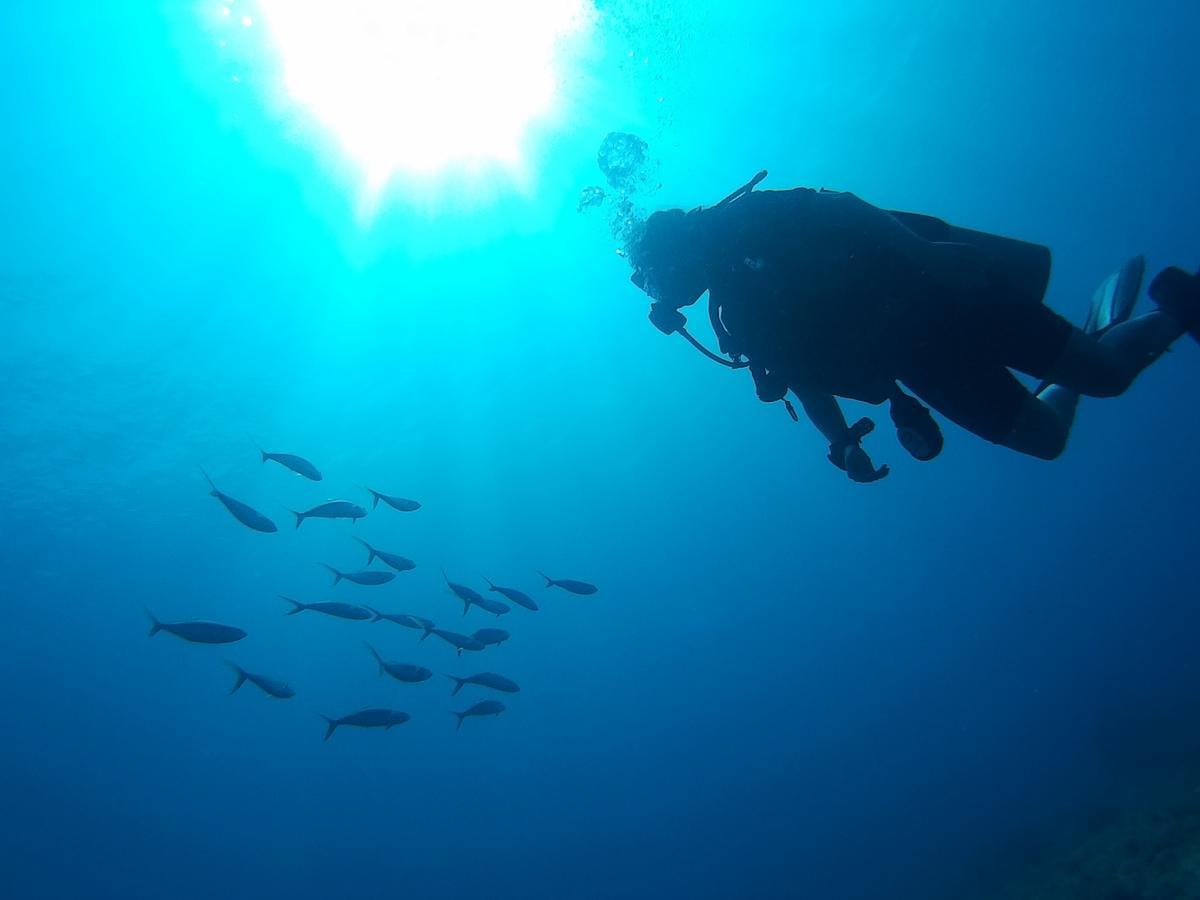 East Lombok Dive Hotel - 3 Private Rooms On The Beach With Seaview & Scuba Diving Center Labuhan Pandan Ngoại thất bức ảnh